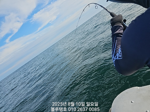 20250810_163457.jpg