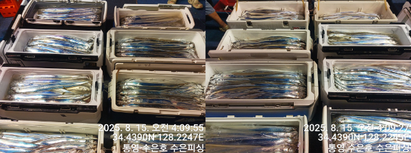 1755205278384-tile.jpg