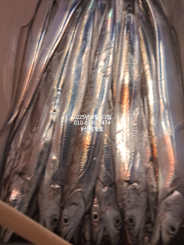 1755908726155.jpg