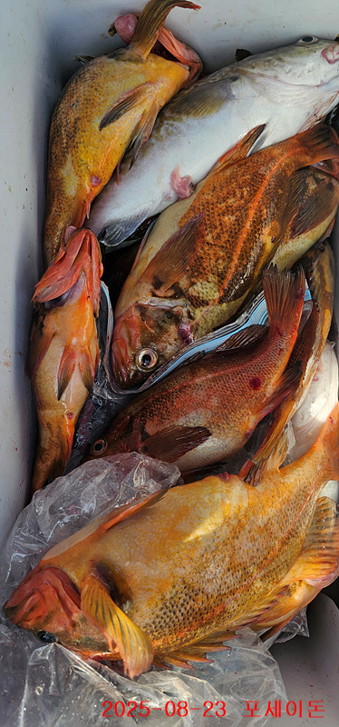 3d439c675d072442a7587160b7f7f637.jpg