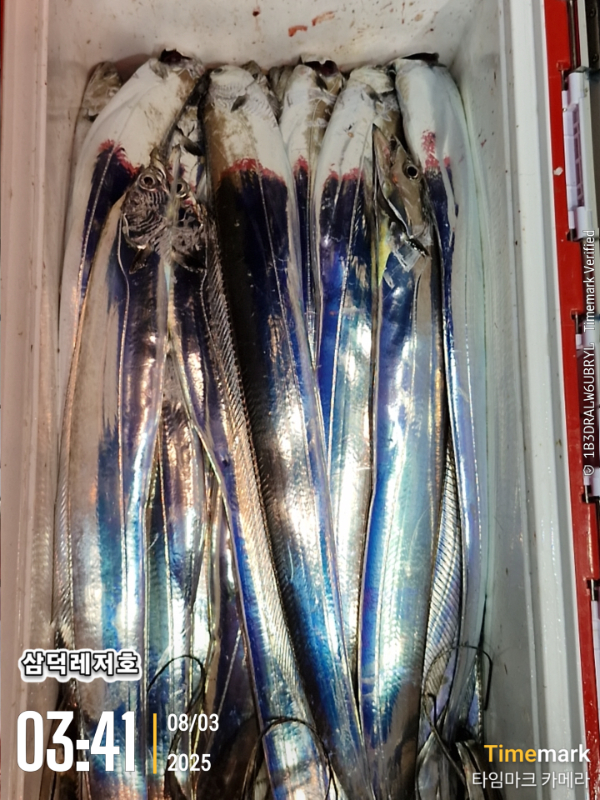 1754167520363.jpg