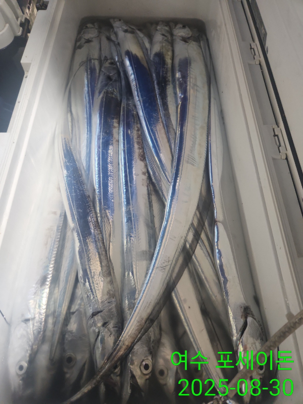 3f7010bc749e3cb1cad7ea4eadb7c5e7.jpg