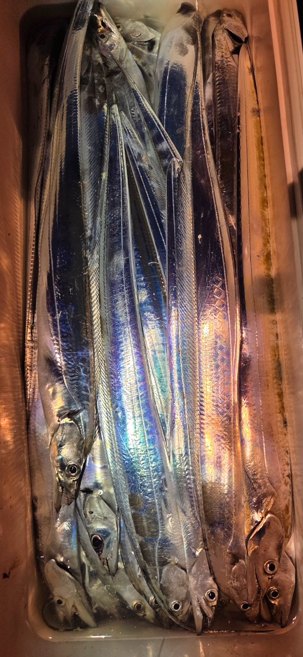 1000067932.jpg