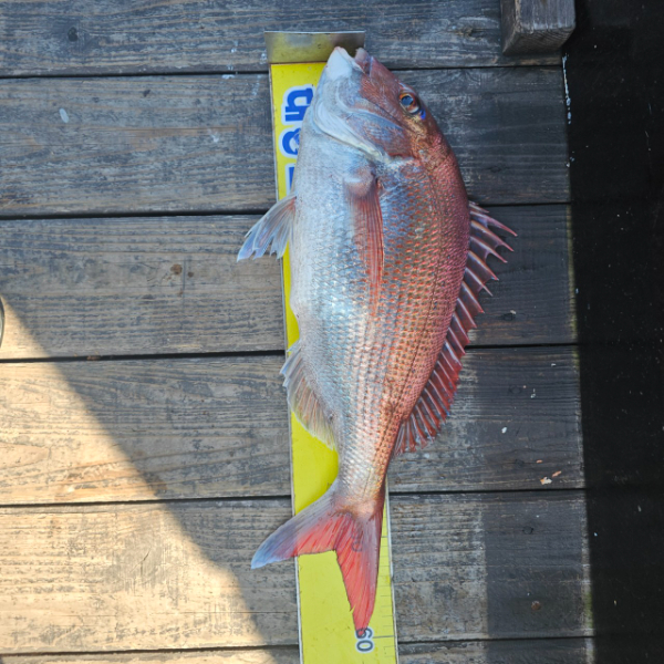 마검포 대한호(VIP)_사진_20250824_6.jpg