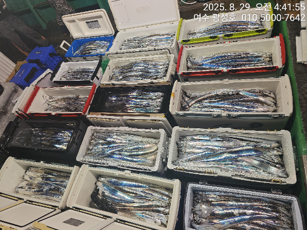 KakaoTalk_20250829_181212955_13.jpg