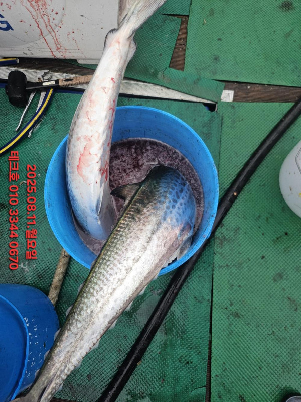 KakaoTalk_20250811_184232146_08.jpg