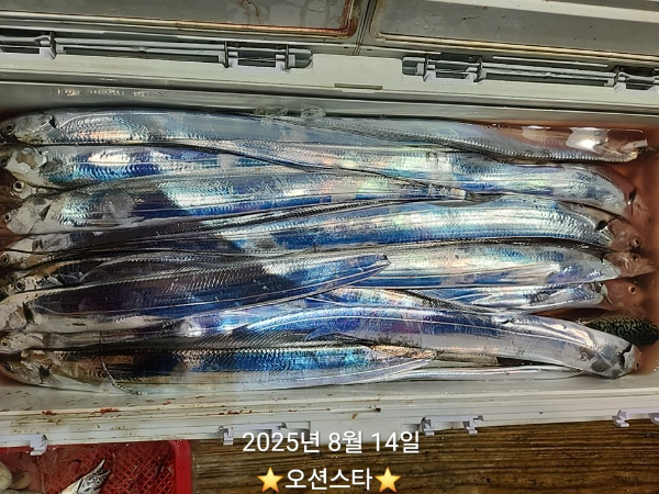 1000037297.jpg