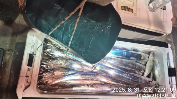 1756583098493-20.jpg