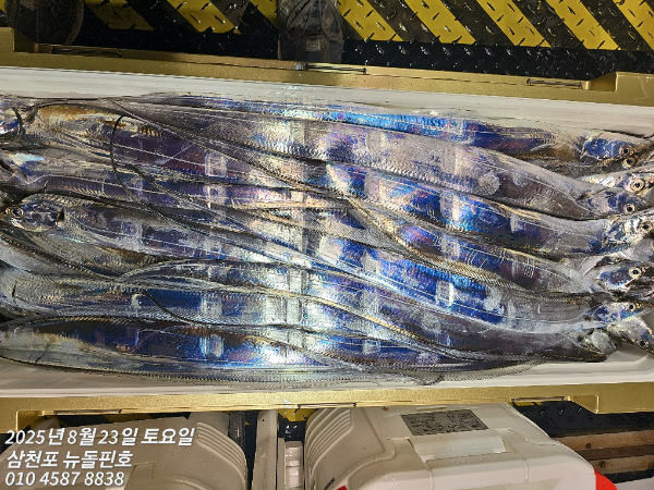 1000001997.jpg