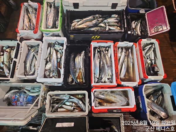 KakaoTalk_20250819_033236295.jpg