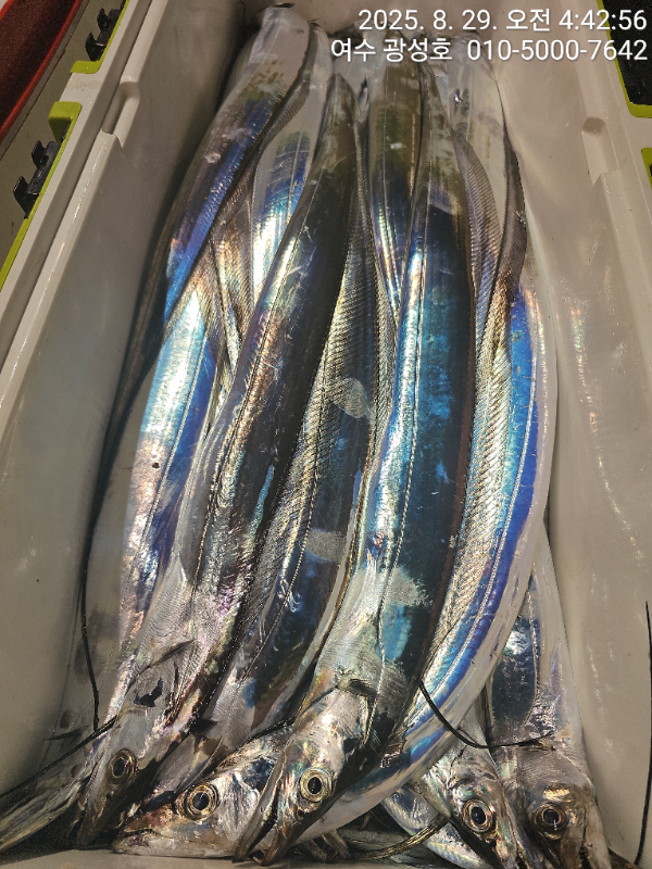 KakaoTalk_20250829_181212955_04.jpg