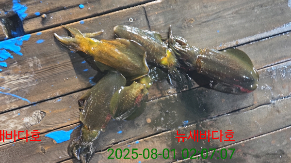 42170855a3e0338cd73019d15445f236.jpg