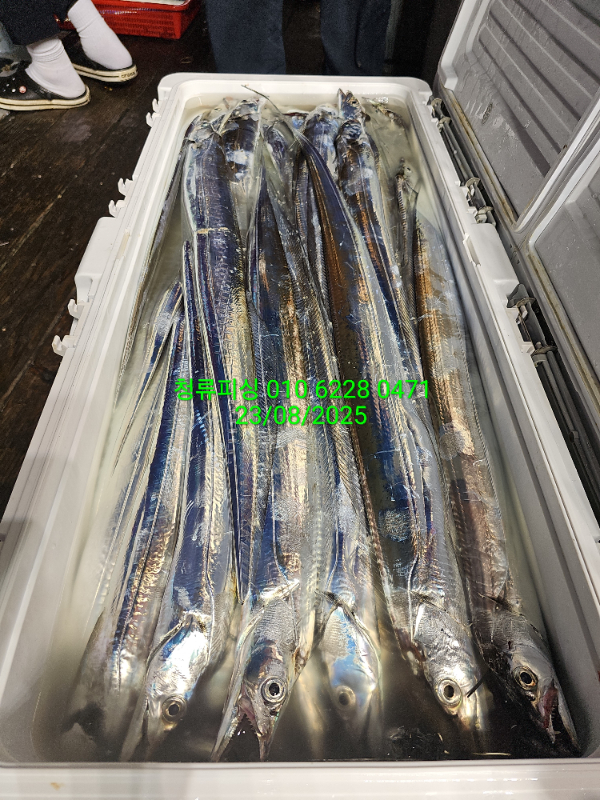 42ede92a8ac3a711dc277795f8869a72.jpg