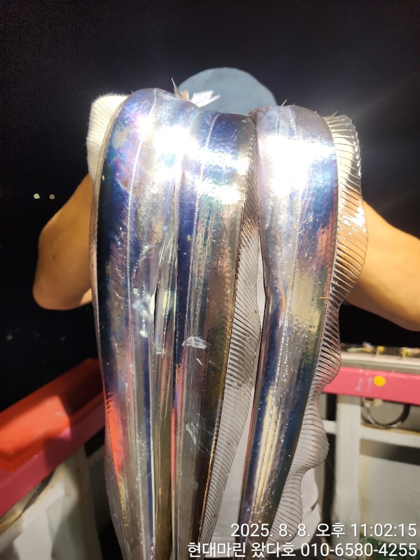 BandPhoto_2025_08_09_12_55_26_3.jpg