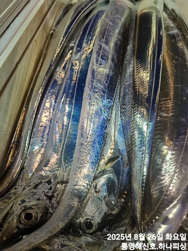 1756147254476.jpg