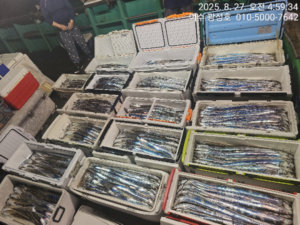 KakaoTalk_20250827_180442912_12.jpg