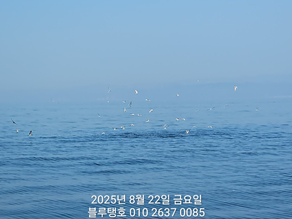 20250822_081651.jpg