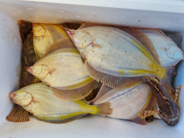 KakaoTalk_20250722_122558027.jpg