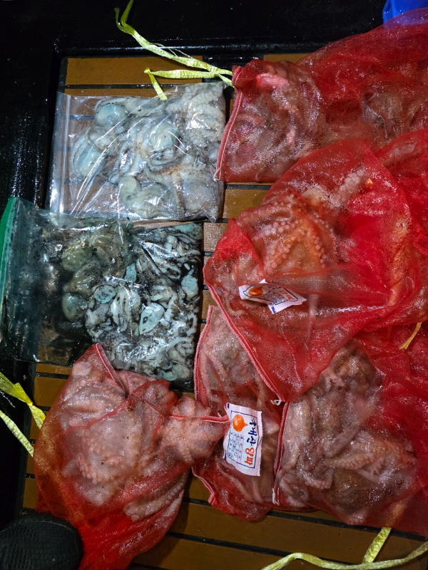 포항 구룡포 포세이돈호_사진_20250822_1.jpg