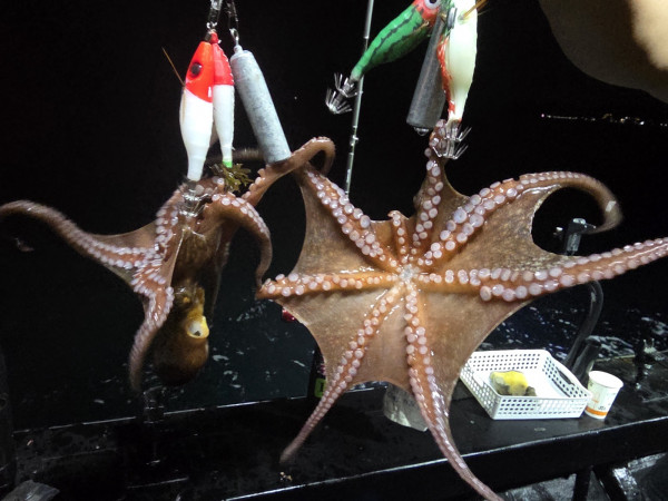 KakaoTalk_Photo_2025-08-31-19-12-00 004.jpeg