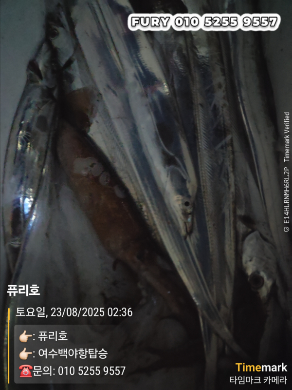 1000026451.jpg