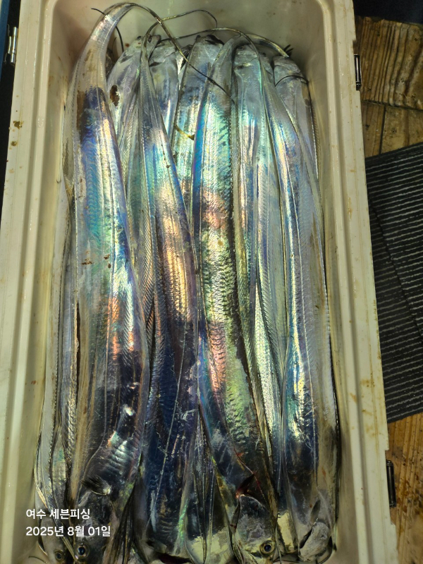 1000045968.jpg
