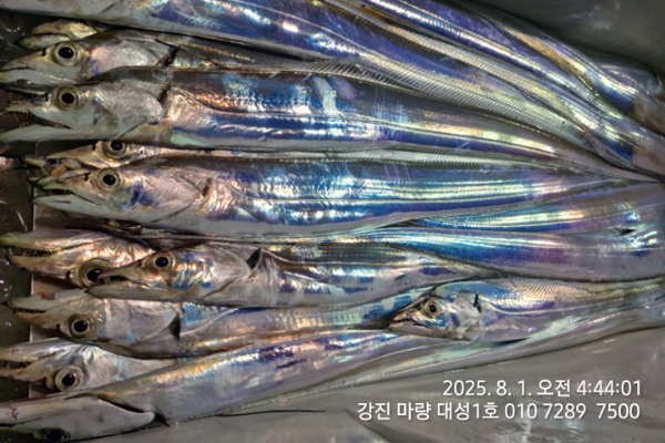 45ed231c39bb79aa62ea9909d29cc02f.jpg