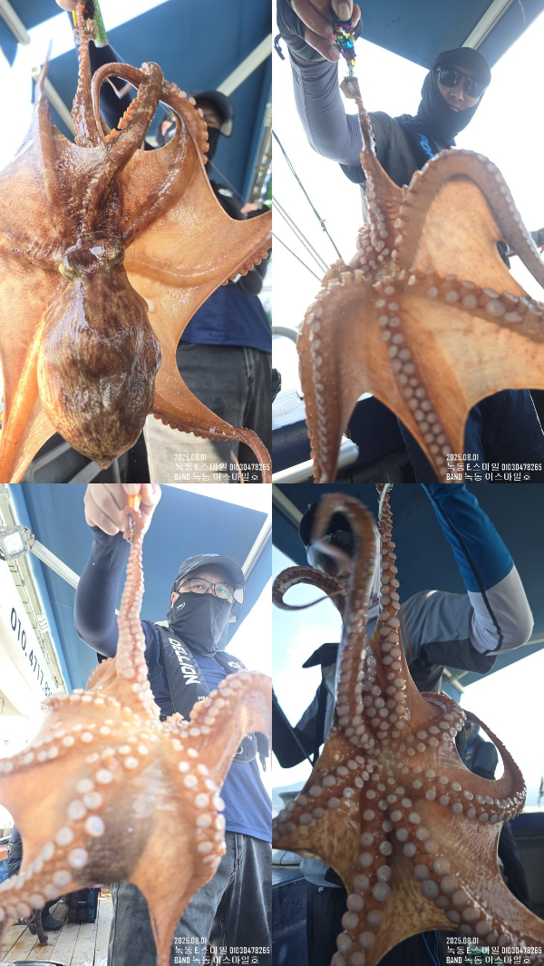 KakaoTalk_20250801_183518148_05-2.jpg