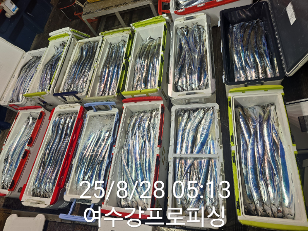 45fe0420f3e1e9576a92d7cc4db5e12c.jpg