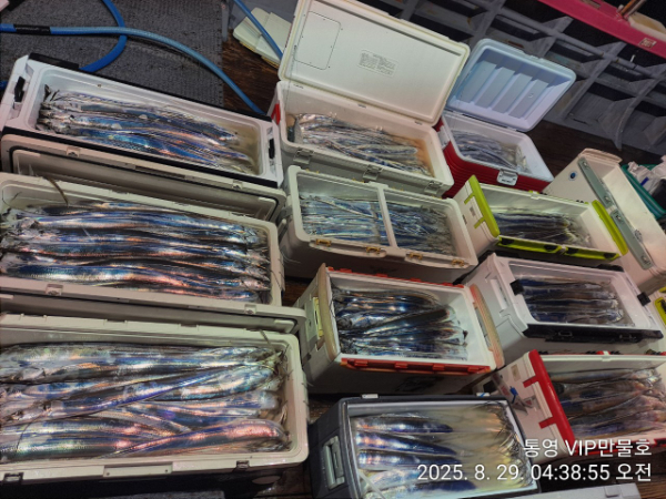 BandPhoto_2025_08_29_04_52_47_4.jpg