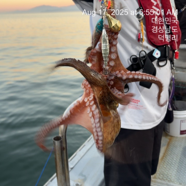 KakaoTalk_20250818_133404310_05.jpg