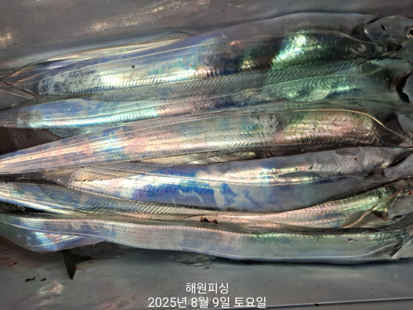1000027354.jpg