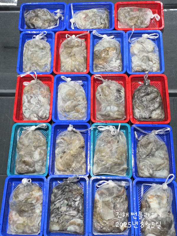 467e58c7c5848aa30e798d772f534ecb.jpg
