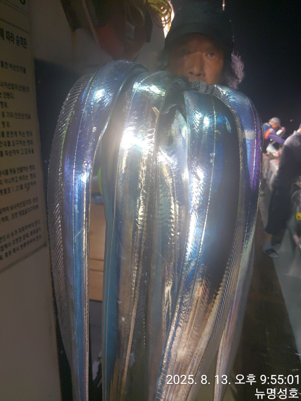 1000066400.jpg