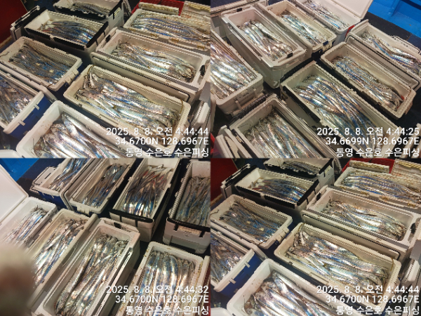 1754597689461-tile.jpg