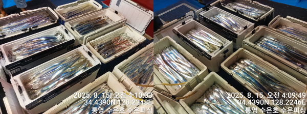1755205278282-tile.jpg