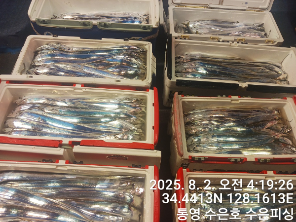 1754081588022-vert.jpg