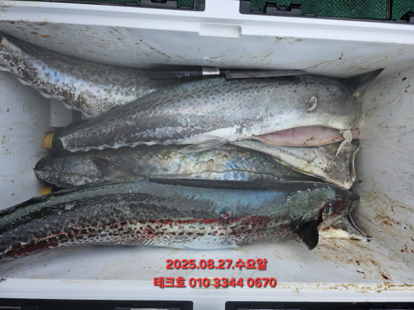 KakaoTalk_20250827_153716903_03.jpg