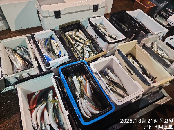 KakaoTalk_20250821_034010380_03.jpg