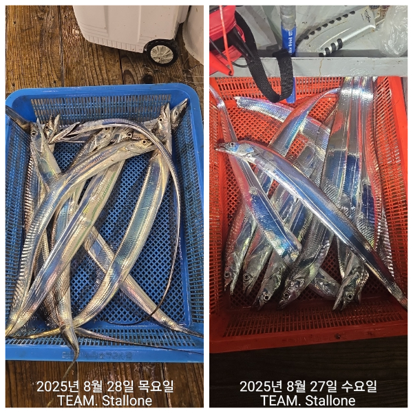 1000040012.jpg