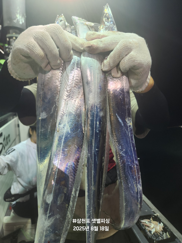 BandPhoto_2025_08_18_07_37_09_7.jpg