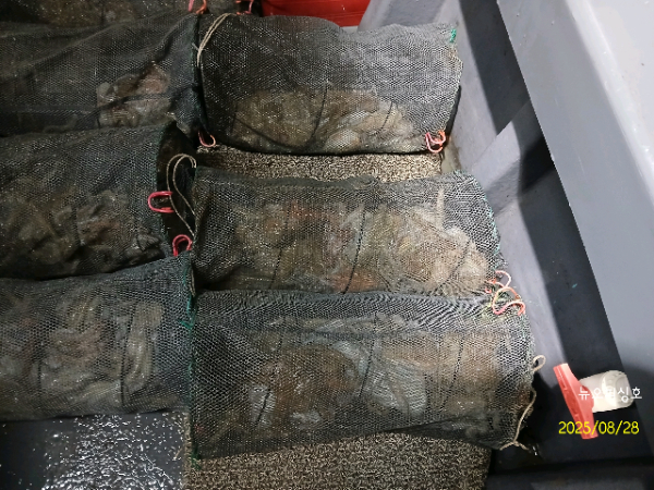 DateCamera0828071636.jpg