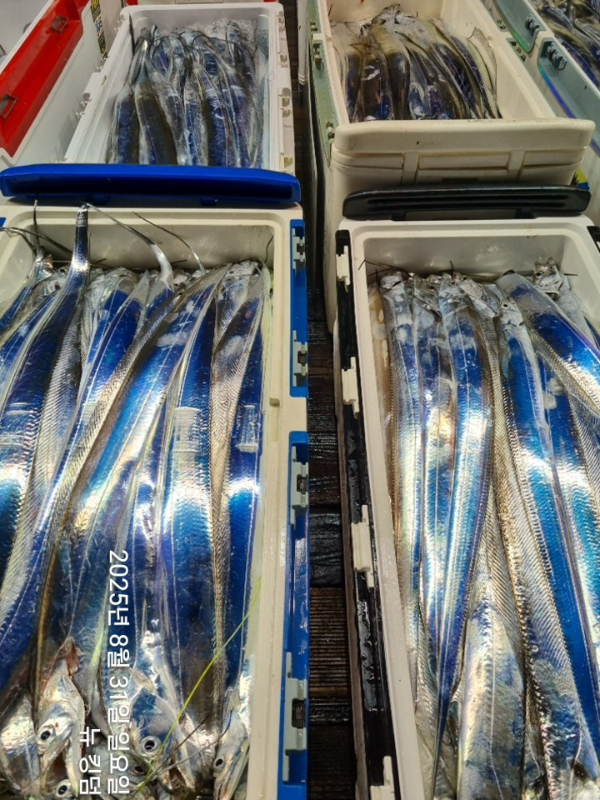 1756598489203.jpg