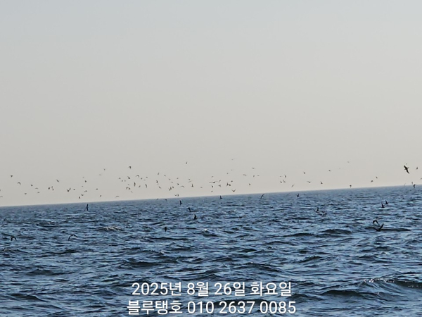 20250826_073940.jpg