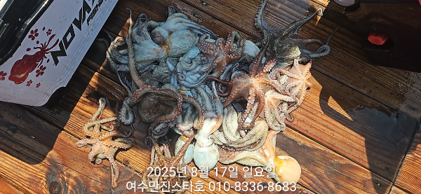 49b98d2ff33f508aa2dc5a2b3443988a.jpg