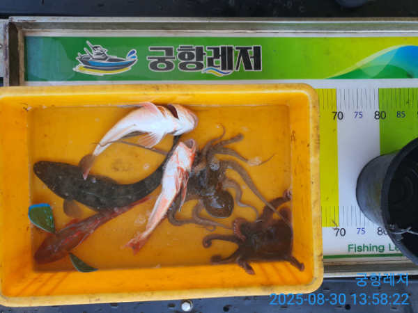 궁항레저_사진_20250830_2.jpg