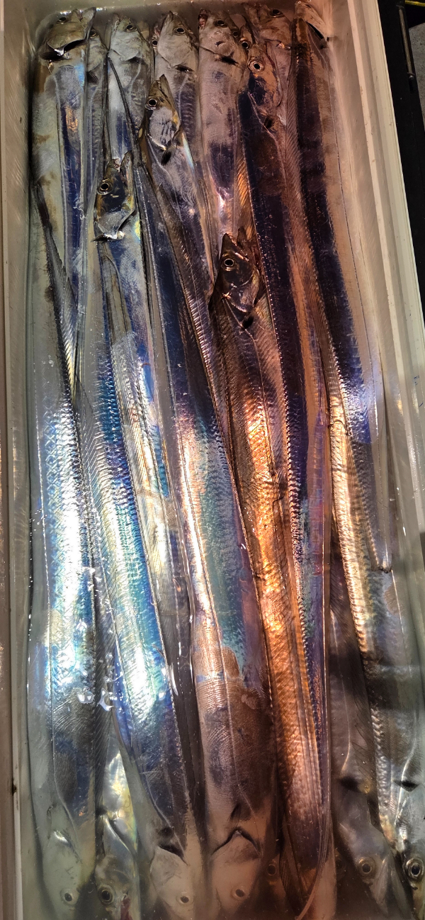 1000068345.jpg