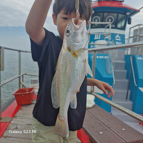 인천쭈꾸미낚시 (3).jpg