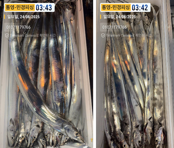 이미지.jpeg