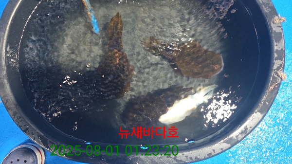 4bb65eef4bd4573921e614a80f13622a.jpg